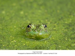 Best of Smithsonian Magazine 2014