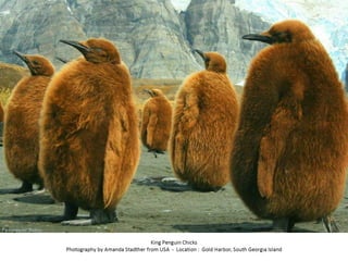Best of Smithsonian Magazine 2014