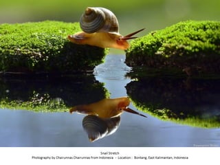 Best of Smithsonian Magazine 2014
