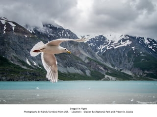 Best of Smithsonian Magazine 2014