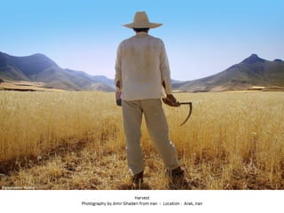 Best of Smithsonian Magazine 2014