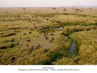 Best of Smithsonian Magazine 2014