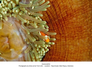 Best of Smithsonian Magazine 2014