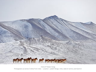 Best of Smithsonian Magazine 2014