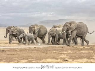 Best of Smithsonian Magazine 2014