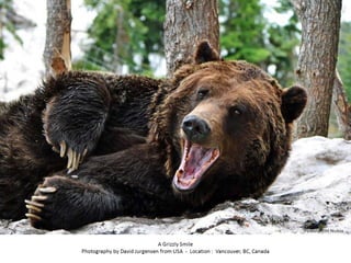 Best of Smithsonian Magazine 2014