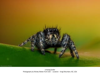 Best of Smithsonian Magazine 2014