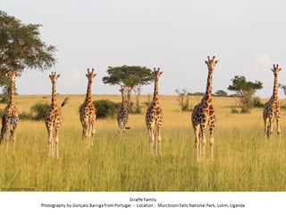 Best of Smithsonian Magazine 2014