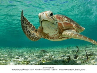 Best of Smithsonian Magazine 2014
