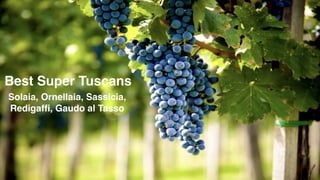 Best Super Tuscans
Solaia, Ornellaia, Sassicia,
Redigaffi, Gaudo al Tasso
 
