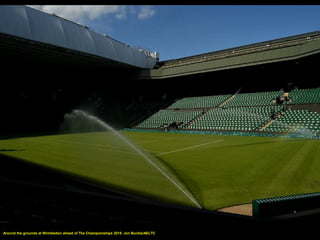 Around the grounds at Wimbledon ahead of The Championships 2015. Jon Buckle/AELTC
 