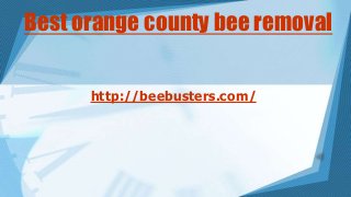Best orange county bee removal
http://beebusters.com/

 
