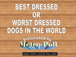 BEST DRESSED OR WORST DRESSED DOGS IN THE WORLD Presented by MUSIC; PUPPY LOVE BY PAUL ANKA 