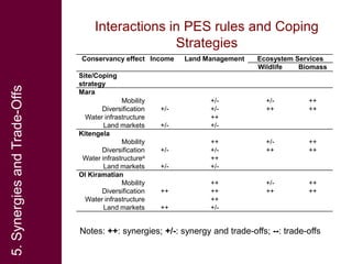 Pastoralism, payments for ecosystem services (PES) and ecosystem-based adaptation