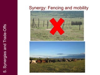 Pastoralism, payments for ecosystem services (PES) and ecosystem-based adaptation