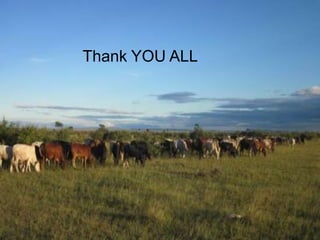 Pastoralism, payments for ecosystem services (PES) and ecosystem-based adaptation