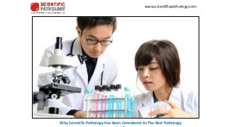www.scientificpathology.com
Why Scientific Pathology Has Been Considered As The Best Pathology
 