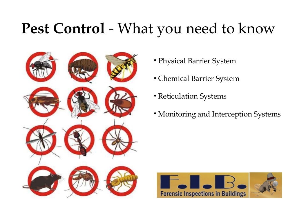 Best pest management technicians in sydney