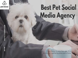 Best pet social media agency