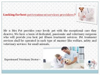 Mr n Mrs Pet provides your lovely pet with the exceptional care they
deserve. We have a team of dedicated, passionate and veterinary surgeons
who will provide you best pet illness treatment services. Pet treatment
services shall be operated in such type of manner like welfare, safety and
veterinary services for small animals.
Looking for best pet treatment services providers ?
Experienced Veterinary Doctor--
 