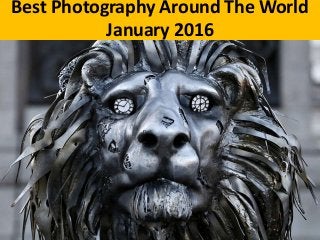 Best Photography Around The World
January 2016
 