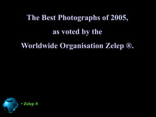 The Best Photographs of 2005, as voted by the  Worldwide OrganisationZelep ®. ,[object Object],[object Object]