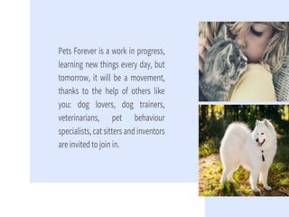 Best place for your pets