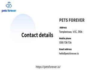 Best place for your pets