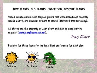 NEW PLANTS, OLD PLANTS, UNDERUSED, OBSCURE PLANTS

Slides include annuals and tropical plants that were introduced recently
(2013-2014), are unusual, or hard to locate (sources listed for many).
All photos are the property of Jean Starr and may be used only by
request (starrjean@comcast.net).

Ps: look for these icons for the ideal light preference for each plant

Full sun

Part sun

Shade

 