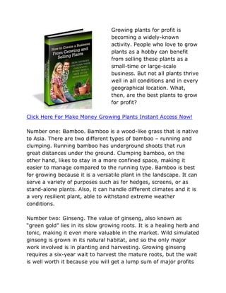 Growing plants for profit is
                                 becoming a widely-known
                                 activity. People who love to grow
                                 plants as a hobby can benefit
                                 from selling these plants as a
                                 small-time or large-scale
                                 business. But not all plants thrive
                                 well in all conditions and in every
                                 geographical location. What,
                                 then, are the best plants to grow
                                 for profit?

Click Here For Make Money Growing Plants Instant Access Now!

Number one: Bamboo. Bamboo is a wood-like grass that is native
to Asia. There are two different types of bamboo – running and
clumping. Running bamboo has underground shoots that run
great distances under the ground. Clumping bamboo, on the
other hand, likes to stay in a more confined space, making it
easier to manage compared to the running type. Bamboo is best
for growing because it is a versatile plant in the landscape. It can
serve a variety of purposes such as for hedges, screens, or as
stand-alone plants. Also, it can handle different climates and it is
a very resilient plant, able to withstand extreme weather
conditions.

Number two: Ginseng. The value of ginseng, also known as
“green gold” lies in its slow growing roots. It is a healing herb and
tonic, making it even more valuable in the market. Wild simulated
ginseng is grown in its natural habitat, and so the only major
work involved is in planting and harvesting. Growing ginseng
requires a six-year wait to harvest the mature roots, but the wait
is well worth it because you will get a lump sum of major profits
 
