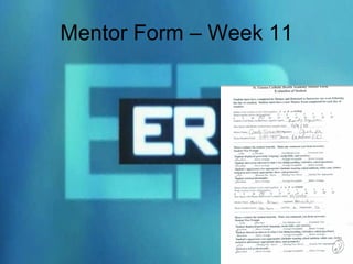 Mentor Form – Week 11 