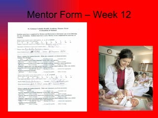 Mentor Form – Week 12 