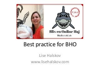 Best practice for BHO 
Lise Halskov 
www.lisehalskov.com 
 