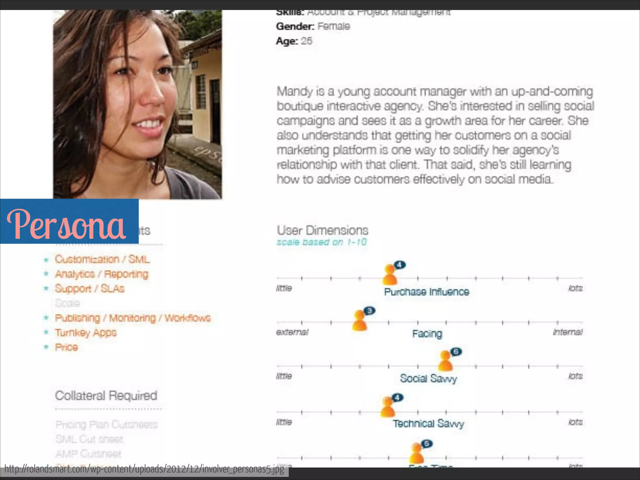 Persona  

http://rolandsmart.com/wp-content/uploads/2012/12/involver_personas5.jpg

 