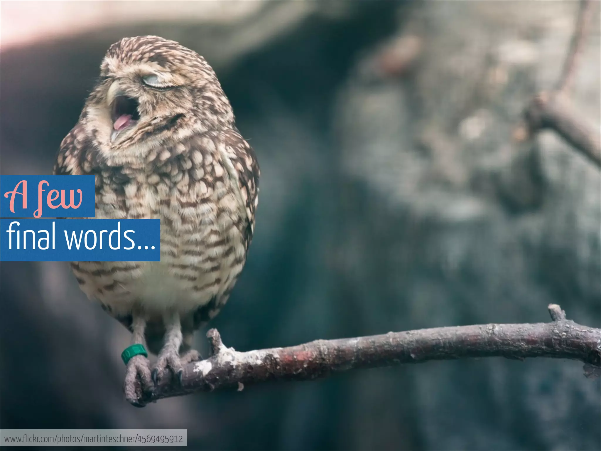 A few 
final words...

www.flickr.com/photos/martinteschner/4569495912

 