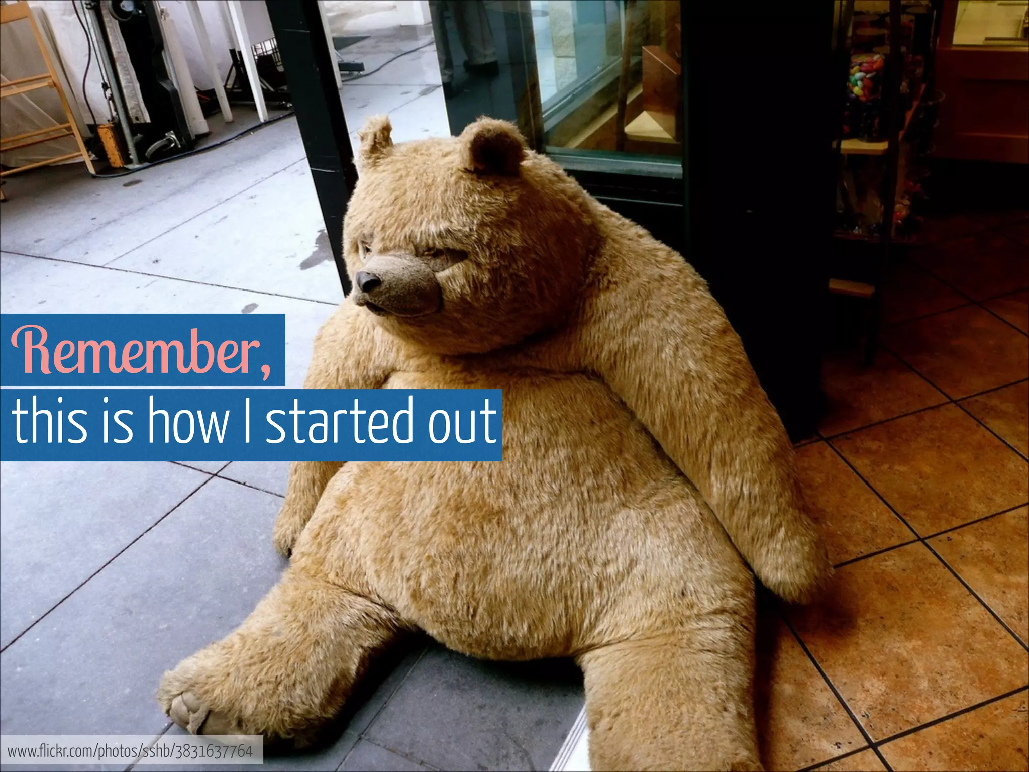 Remember,  
this is how I started out

www.flickr.com/photos/sshb/3831637764

 