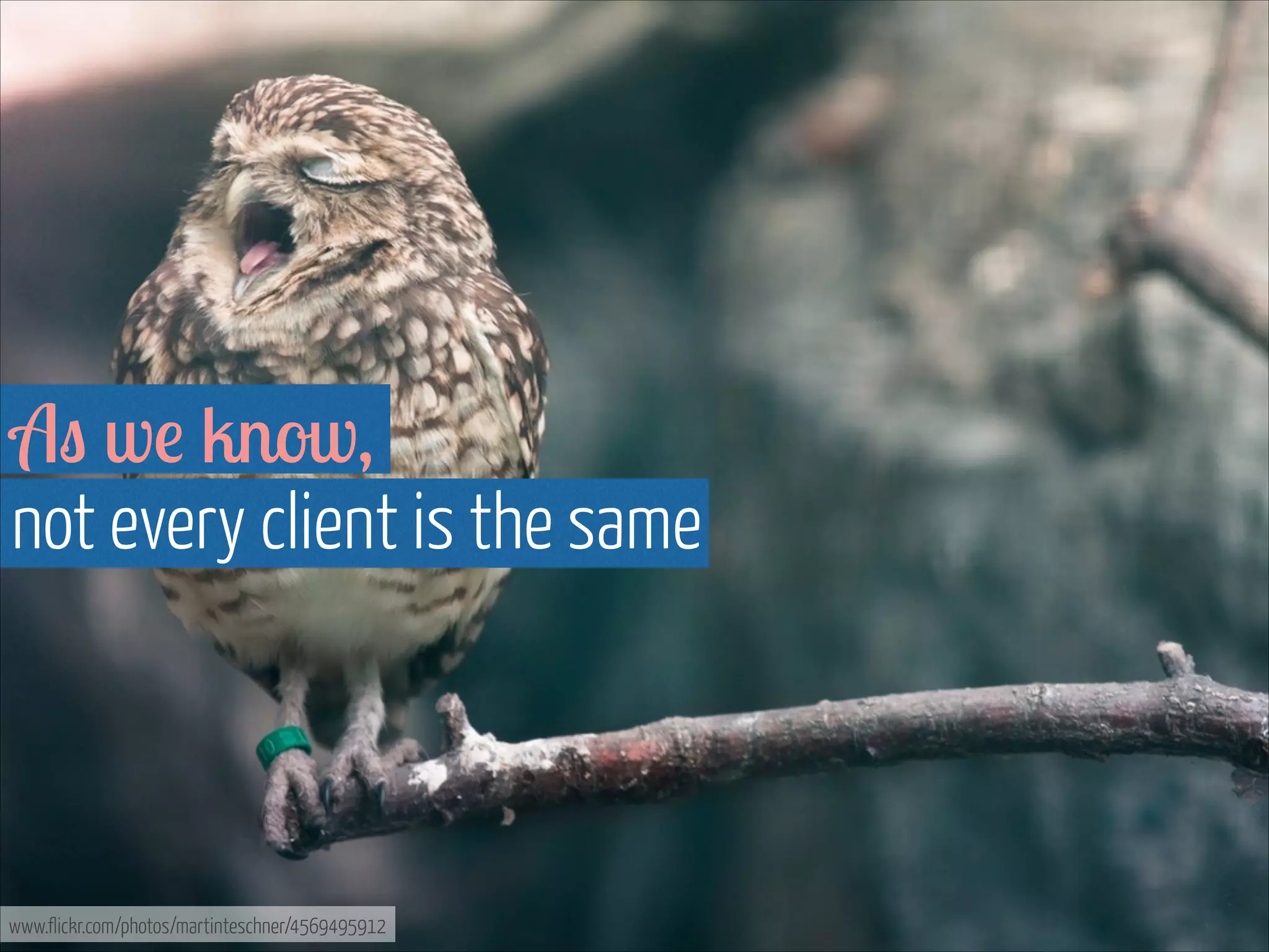 As we know,  
not every client is the same

www.flickr.com/photos/martinteschner/4569495912

 