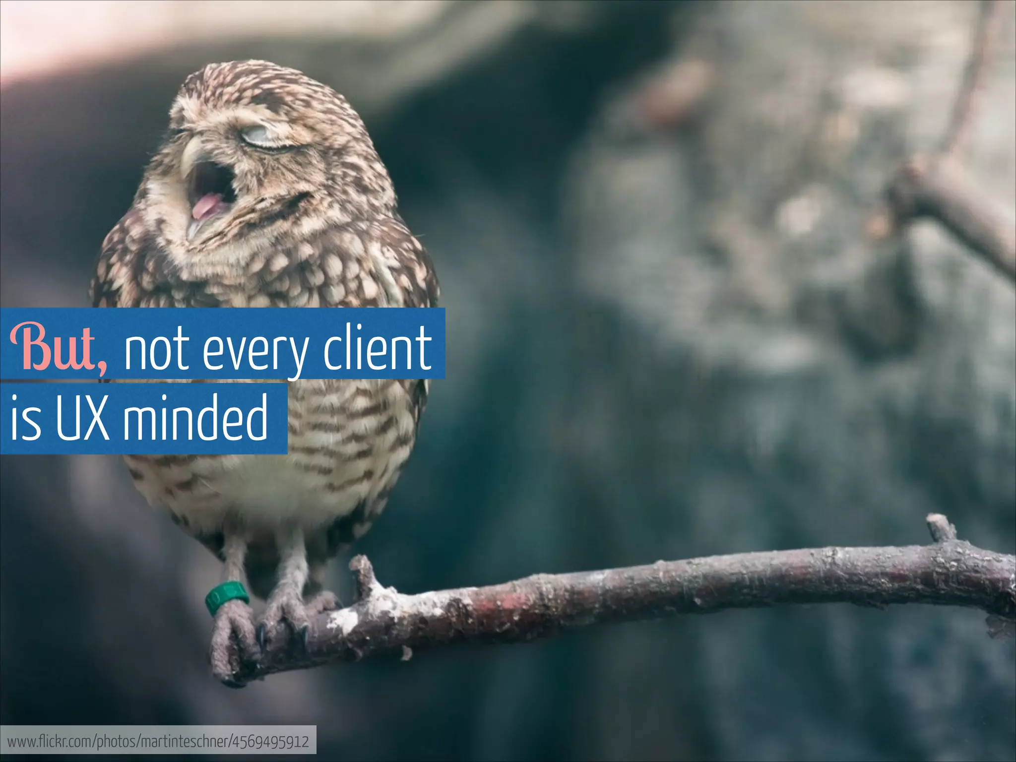 But, not every client  
is UX minded

www.flickr.com/photos/martinteschner/4569495912

 