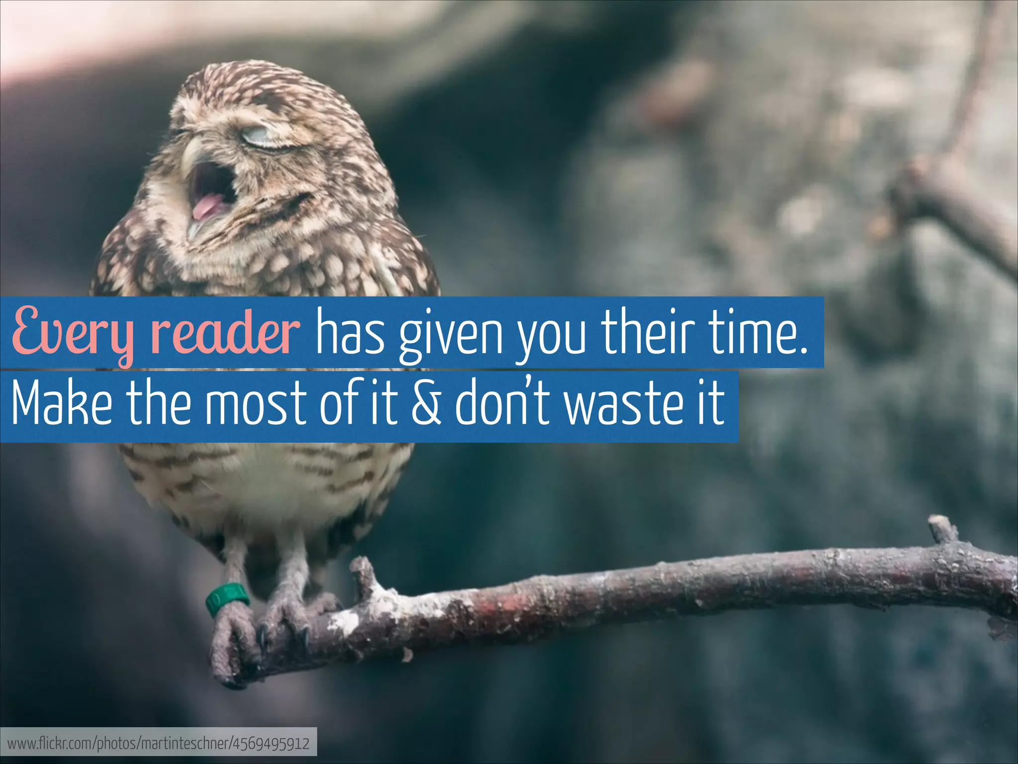 Every reader has given you their time.  
Make the most of it & don’t waste it

www.flickr.com/photos/martinteschner/4569495912

 