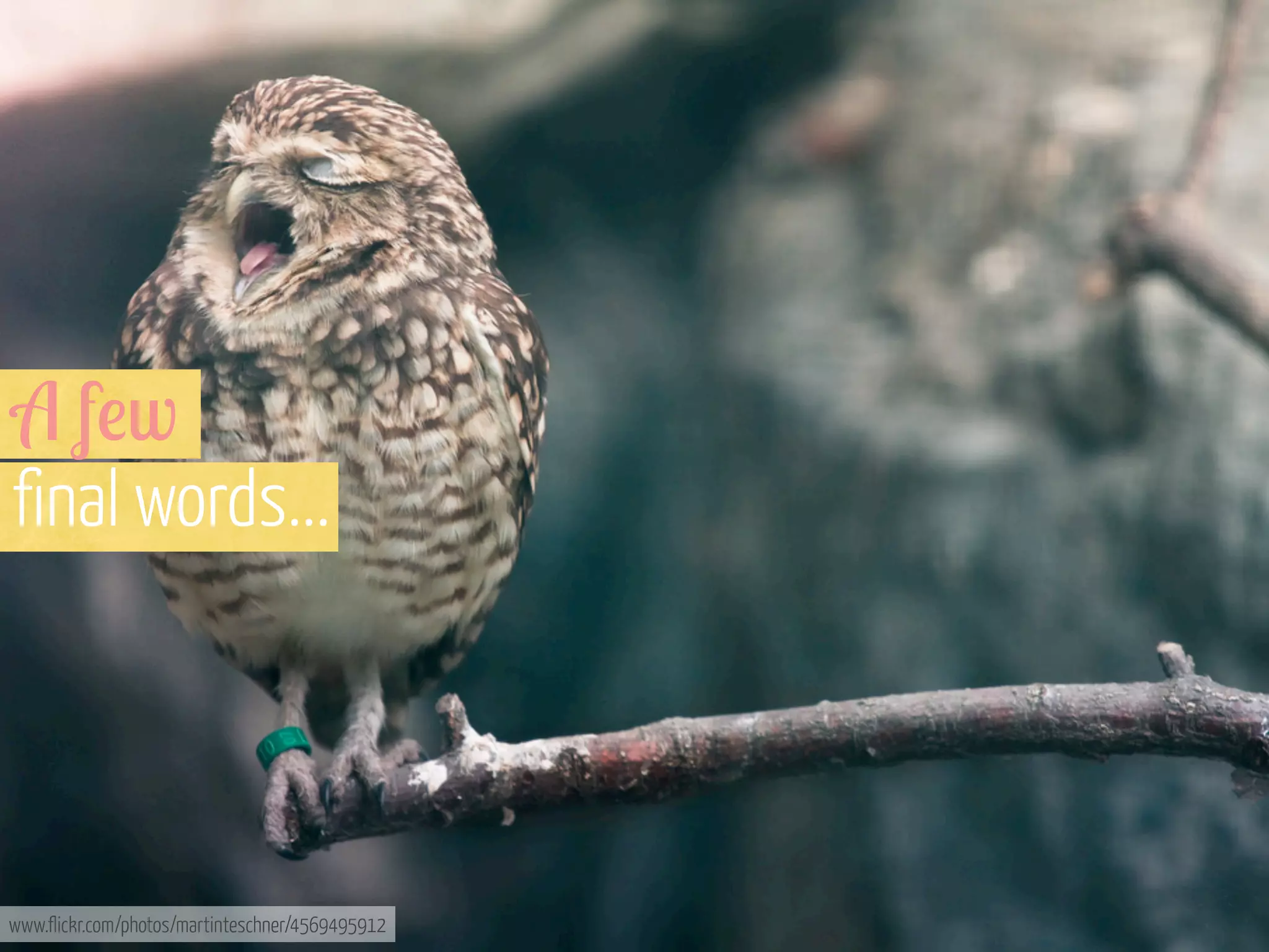 A f!w
final words...

www.flickr.com/photos/martinteschner/4569495912

 