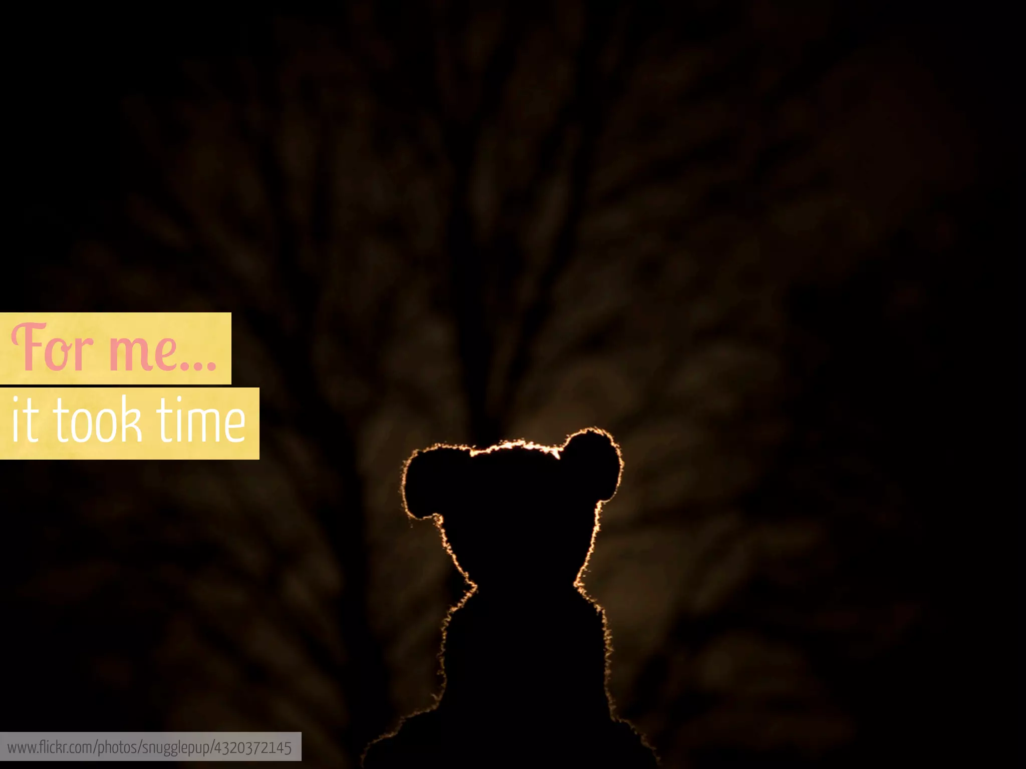 F-r /!...
it took time

www.flickr.com/photos/snugglepup/4320372145

 