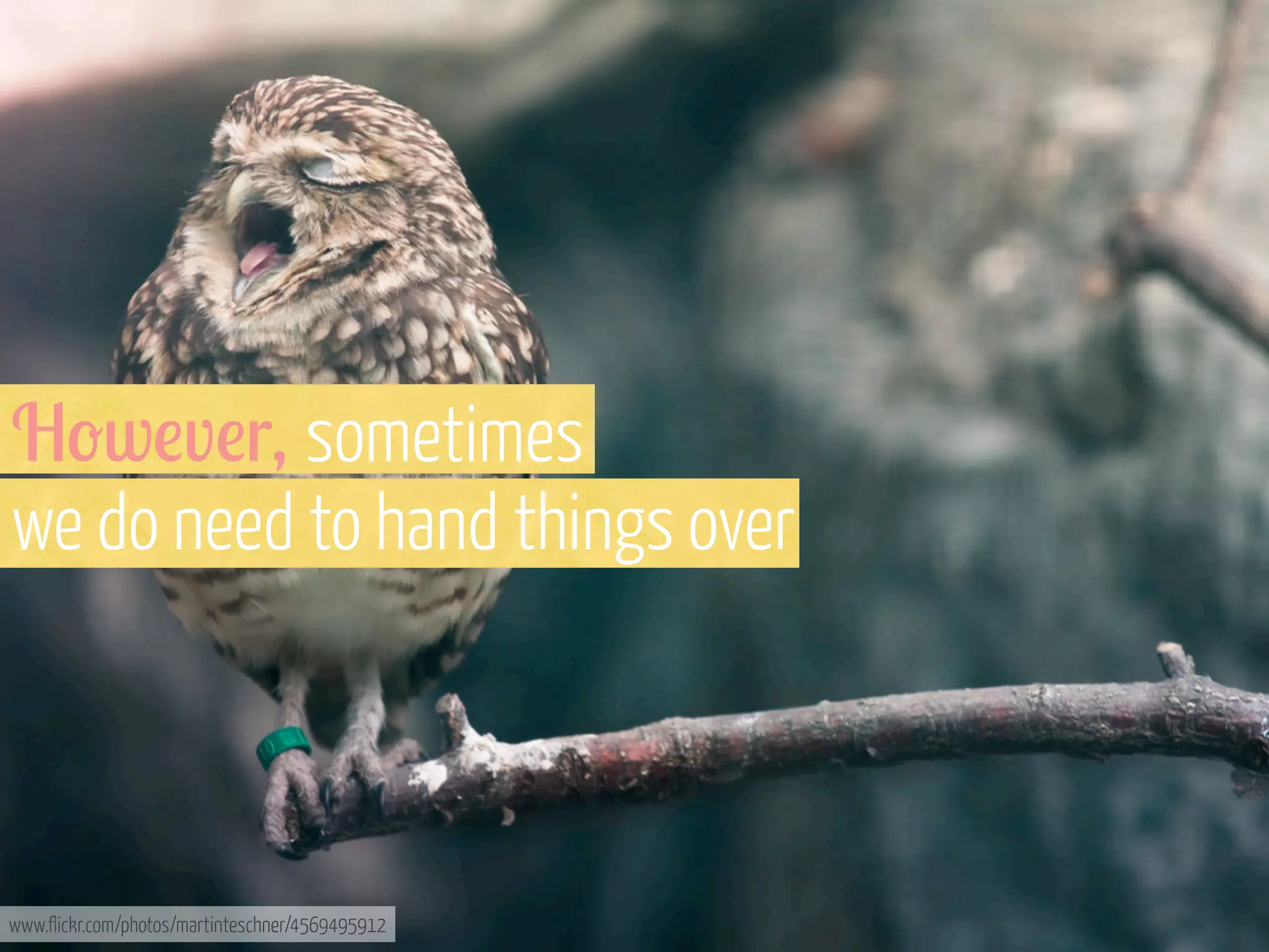 H-w!v!r, sometimes
we do need to hand things over

www.flickr.com/photos/martinteschner/4569495912

 