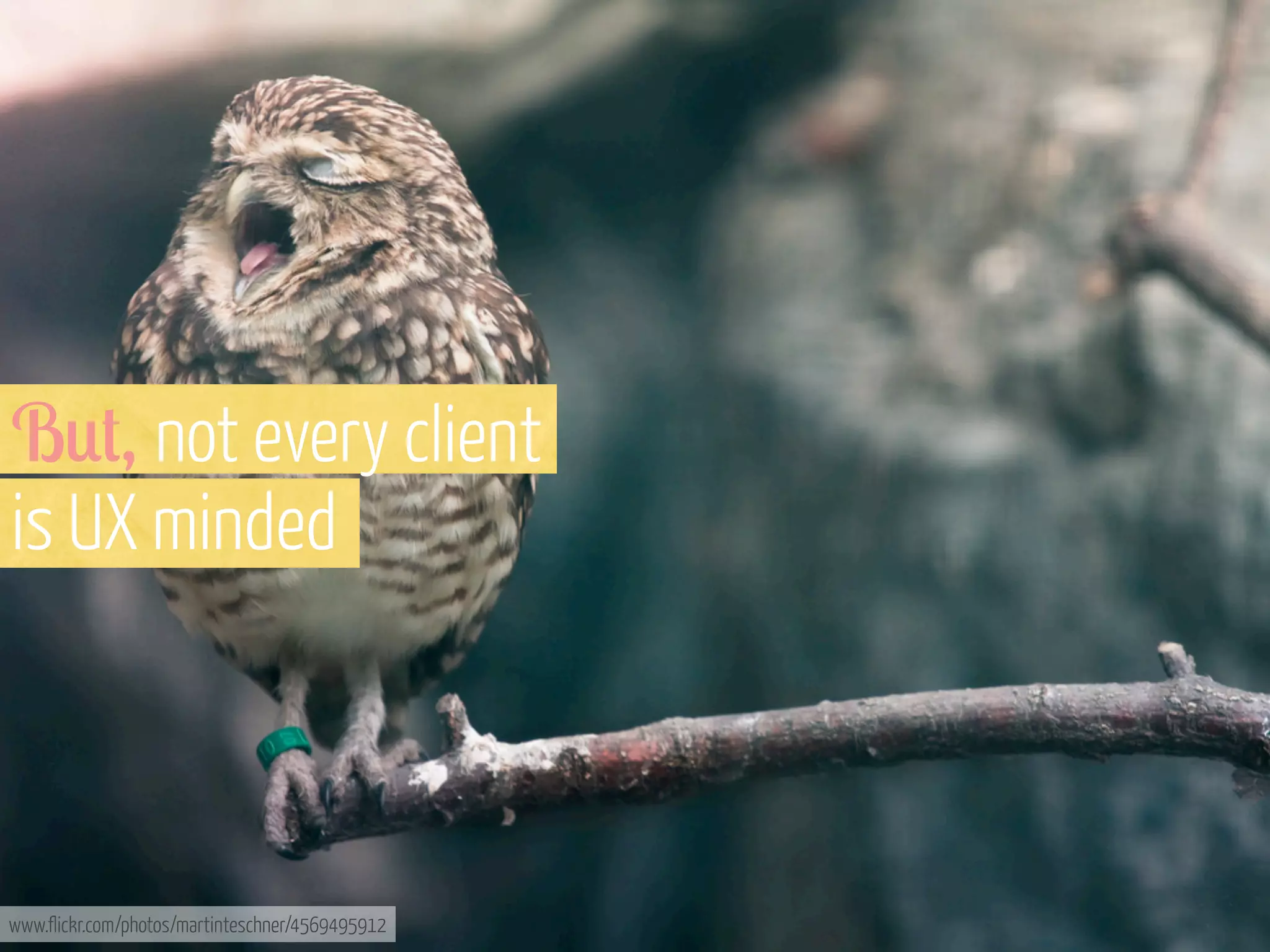 B0#, not every client
is UX minded

www.flickr.com/photos/martinteschner/4569495912

 