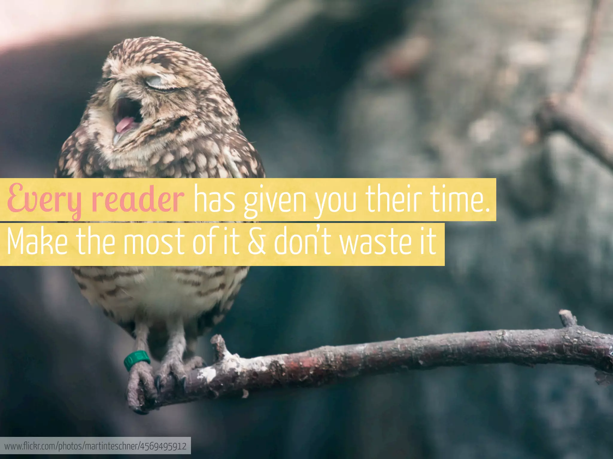 Ev!r) r!$*!r has given you their time.
Make the most of it & don’t waste it

www.flickr.com/photos/martinteschner/4569495912

 