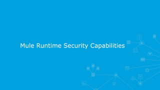 Mule Runtime Security Capabilities
 