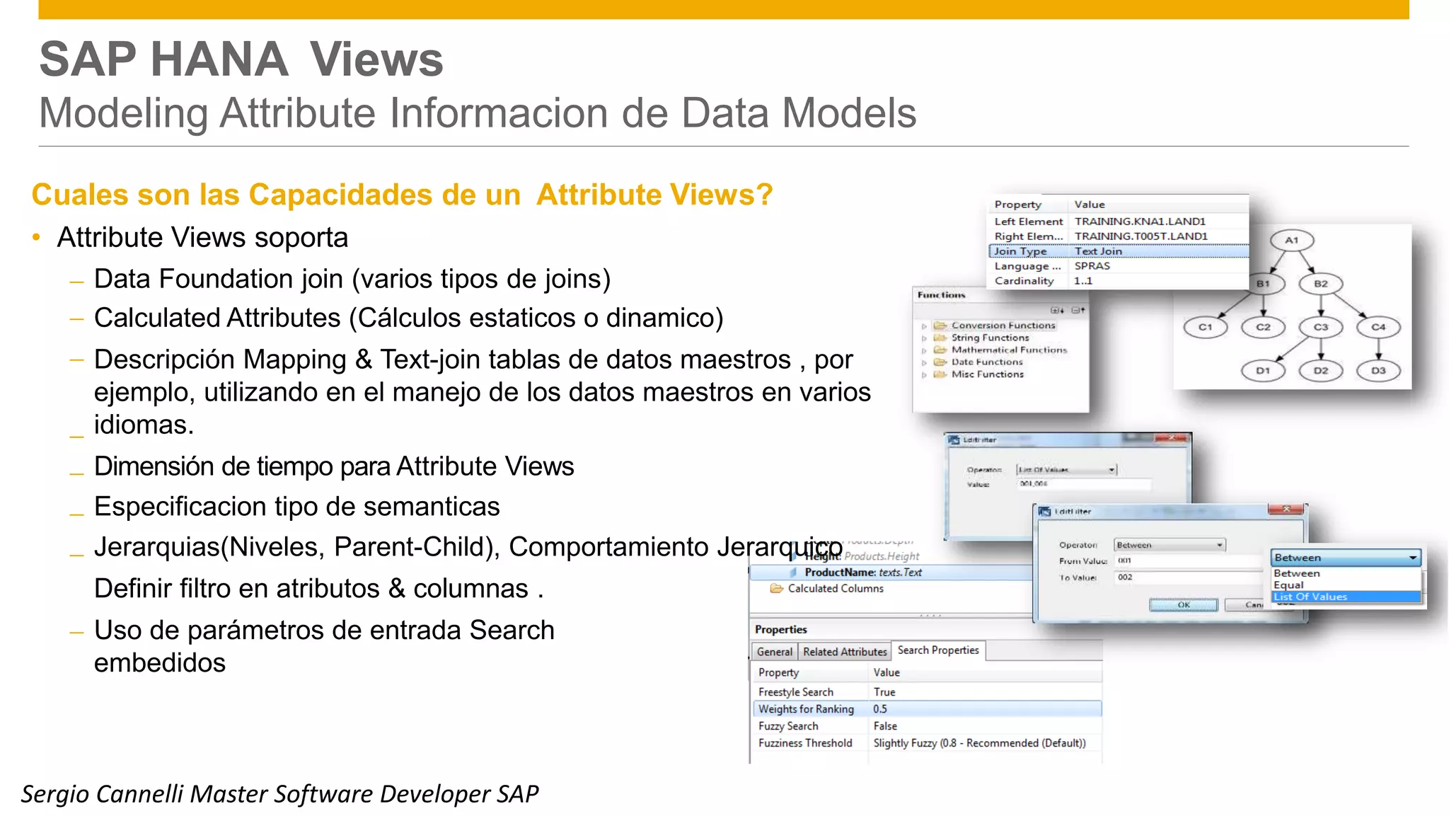 SAP HANA Views
Modeling Attribute Informacion de Data Models
Cuales son las Capacidades de un Attribute Views?
• Attribute Views soporta



Data Foundation join (varios tipos de joins)
Calculated Attributes (Cálculos estaticos o dinamico)
Descripción Mapping & Text-join tablas de datos maestros , por
ejemplo, utilizando en el manejo de los datos maestros en varios
idiomas.
Dimensión de tiempo para Attribute Views
Especificacion tipo de semanticas
Jerarquias(Niveles, Parent-Child), Comportamiento Jerarquico
Definir filtro en atributos & columnas .
Uso de parámetros de entrada Search
embedidos





Public 10Sergio Cannelli Master Software Developer SAP
 