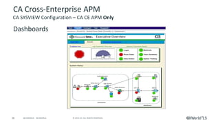 Best Practices for Optimizing Mainframe Application Performance with CA ...
