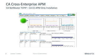 Best Practices for Optimizing Mainframe Application Performance with CA ...