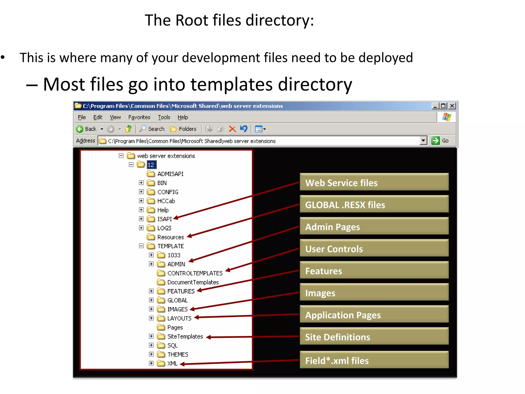 This is where many of your development files need to be deployed Most files go into templates directory The Root files directory: Web Service files GLOBAL .RESX files Application Pages User Controls Features Field*.xml files Site Definitions Images Admin Pages 