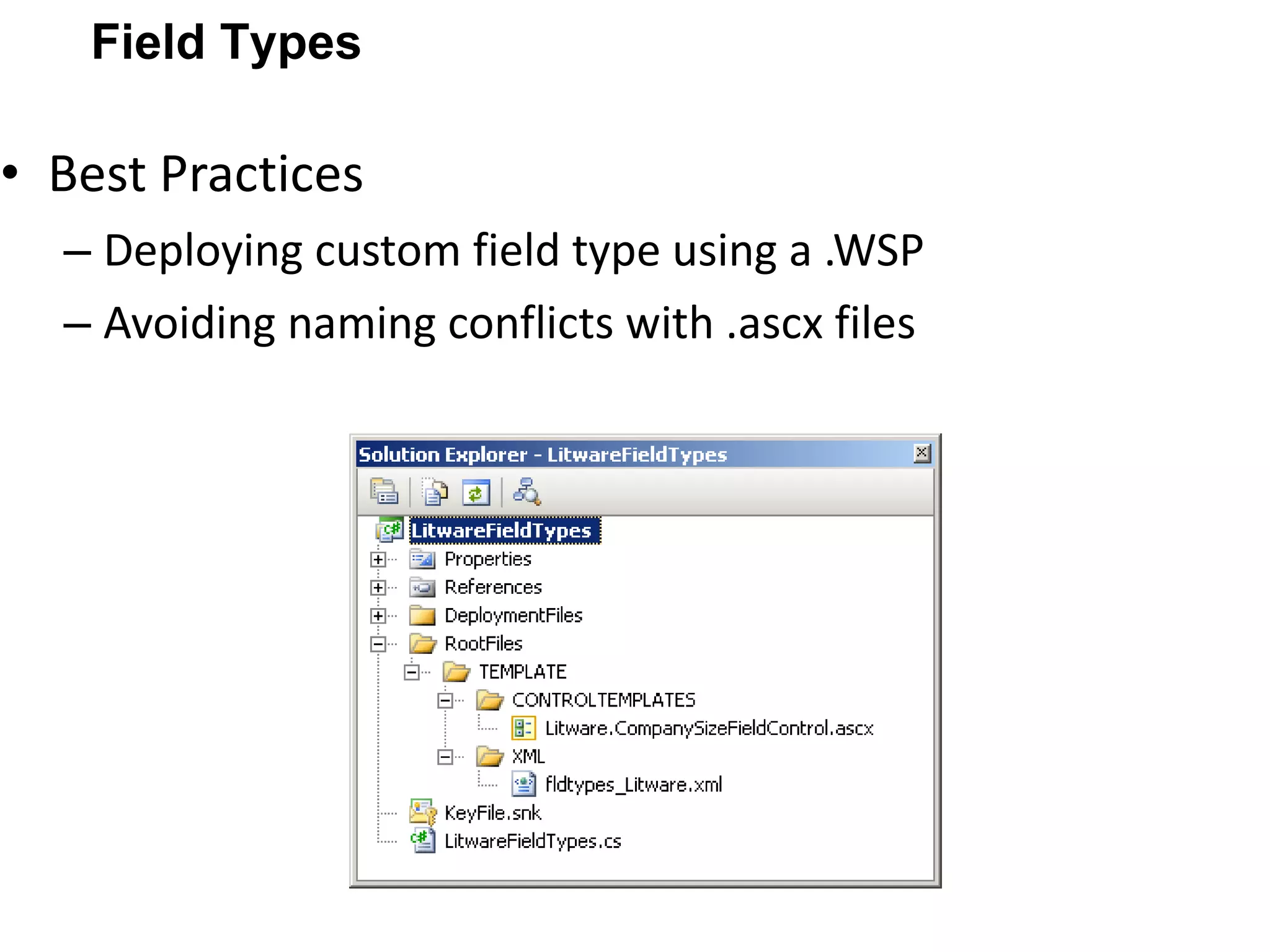 Best Practices Deploying custom field type using a .WSP Avoiding naming conflicts with .ascx files Field Types 